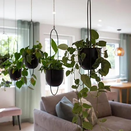 Bei Heussens Waldbronn